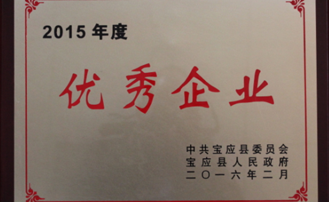 公司被宝应县人民政府授予2015年度“优秀企业”荣誉称号